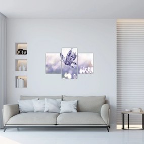 Tablou - Fluture și lavandă (90x60 cm)
