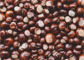 Tablou pe sticlă - Castane coapte (70x50 cm)