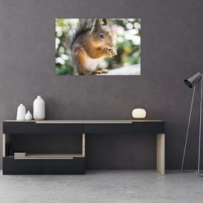 Tablou cu veverița (90x60 cm)