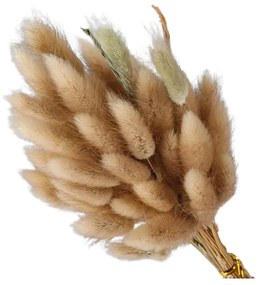 Buchet plante ornamentale, 60 cm, maro