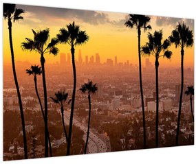 Tablou - Panorama din Los Angeles (90x60 cm)