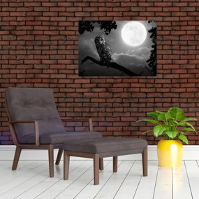 Tablou pe sticlă - Bufniță de noapte, alb și negru (70x50 cm)