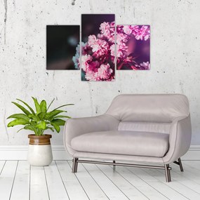 Tablou cu florile copacilor (90x60 cm)