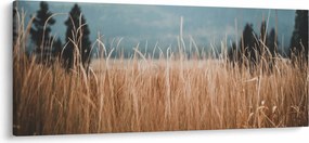 Tablou - detaliu spațiului de luncă (120x50 cm)