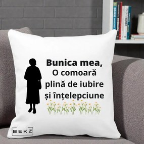 Cadou pentru Bunica - Perna Personalizata Bunica Mea Comoara Iubire Intelepciune Silueta cu Nepoata, 40x40 cm, Alba Mata, Husa Detasabila, Perna Inclusa, BEKZ®