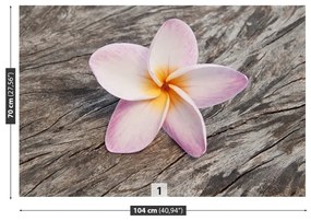 Fototapet frangipani din lemn