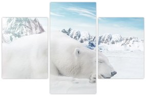 Tablou - Urs polar (90x60 cm)