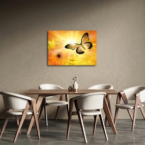 Tablou - Fluture galben cu flori (70x50 cm)