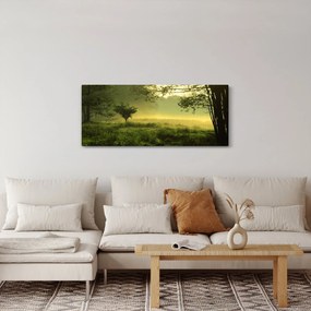 Tablou - Pădurea trezită (120x50 cm)