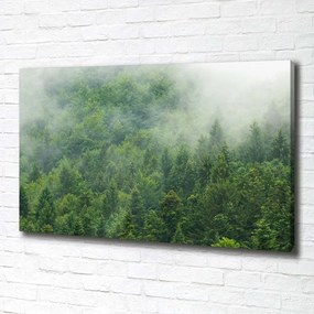 Print pe pânză Pădure misterioasă