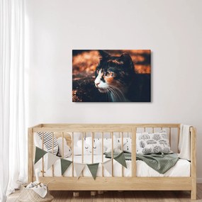 Tablou - Privirea pisicii (90x60 cm)