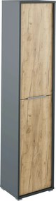 Dulap RIOMA NEW TYPE 06, gri grafit/stejar artisan, DTD laminat, cu 2