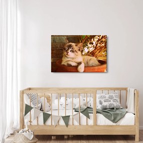 Tablou cu pisica în ghiveci (90x60 cm)