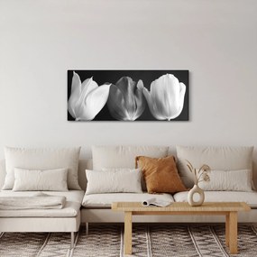 Tablou - Lalele alb negre (120x50 cm)