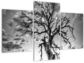 Tablou - Copacul, alb-negru (90x60 cm)