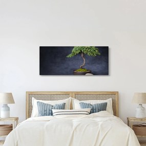 Tablou - Bonsai (120x50 cm)