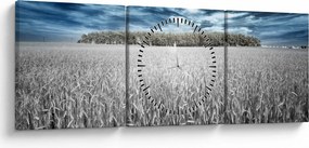 Tablou cu câmp (cu ceas) (90x30 cm)