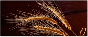 Tablou - Spic în prim plan (120x50 cm)