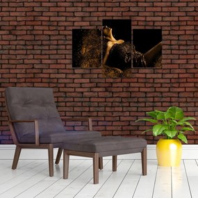 Tablou - Femeia din aur (90x60 cm)