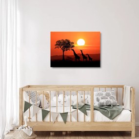 Tablou pe sticlă cu girafe în apus de soare (70x50 cm)