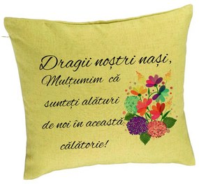 Perna Decorativa pentru Nasi 1, 40x40 cm, Verde, Husa Detasabila, Burduf