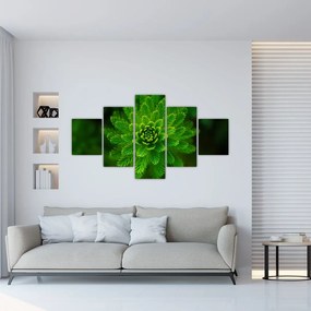 Tablou cu coniferi (125x70 cm), în 40 de alte dimensiuni noi