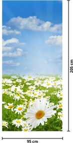 Fototapet pentru ușă - Lunca înflorită cu margarete (95x205cm)