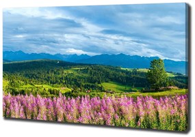 Tablou pe pânză Lavanda în munți