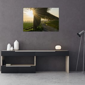 Tablou cu alee (90x60 cm)