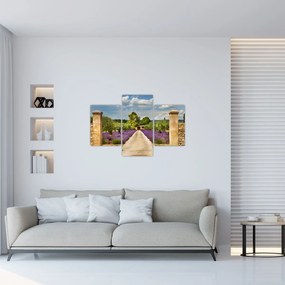 Tablou - Căi de lavandă (90x60 cm)