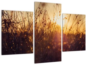 Tablou - Câmp la apus de soare (90x60 cm)