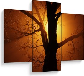 Tablou cu copac în apus de soare (90x60 cm)