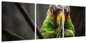 Tablou cu papagal (cu ceas) (90x30 cm)