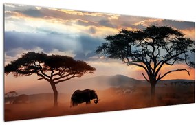 Tablou - Parcul Național Serengeti, Tanzania, Africa (120x50 cm)