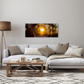 Tablou - Bulă transparentă (120x50 cm)