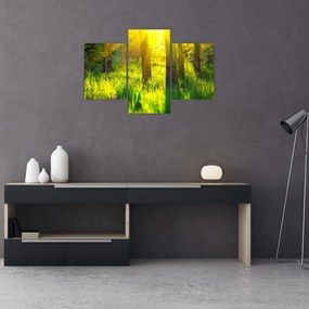 Tablou - Trezirea de primăvară a pădurii (90x60 cm)