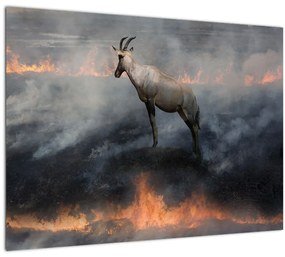 Tablou pe sticlă cu capră de munte în foc (70x50 cm)
