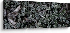 Tablou - Plante înghețate (cu ceas) (90x30 cm)