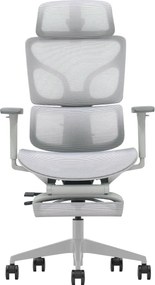 VERTEX PRO – Scaun Ergonomic Premium, Suport Lombar Dublu cu arc și reglaj al tensiunii, Cotiere 3D, Tetieră reglabilă, Șezut Glisant, Suport pentru picioare extensibil, Gri