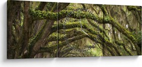 Tablou - Oaks Avenue, Charleston, Carolina de Sud, SUA (cu ceas) (90x30 cm)