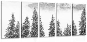Tablou 5-piese copaci pini înzăpeziți în design alb-negru
