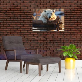 Tablou - Ursul polar (70x50 cm)