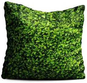 Pernă Oyo home Ivy, 40 x 40 cm, verde