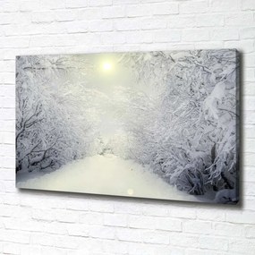 Tablou pe pânză canvas Pădure de iarnă frumos