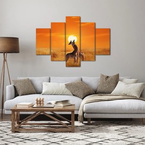 Tablou - Girafe în Parcul Național Serengeti (150x105 cm)