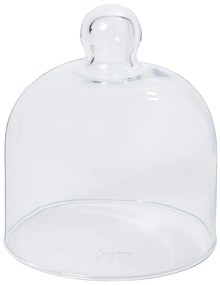 Capac Glass Domes – Casafina