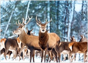 Tablou - Turma de căprioare (70x50 cm)