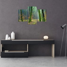 Tablou cu pădure (90x60 cm)