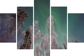 Tablou cu aurora borealis deasupra pomilor înghețați (150x105 cm)