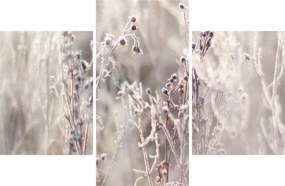 Tablou - Plante (90x60 cm)